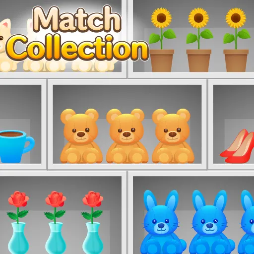 Match Collection